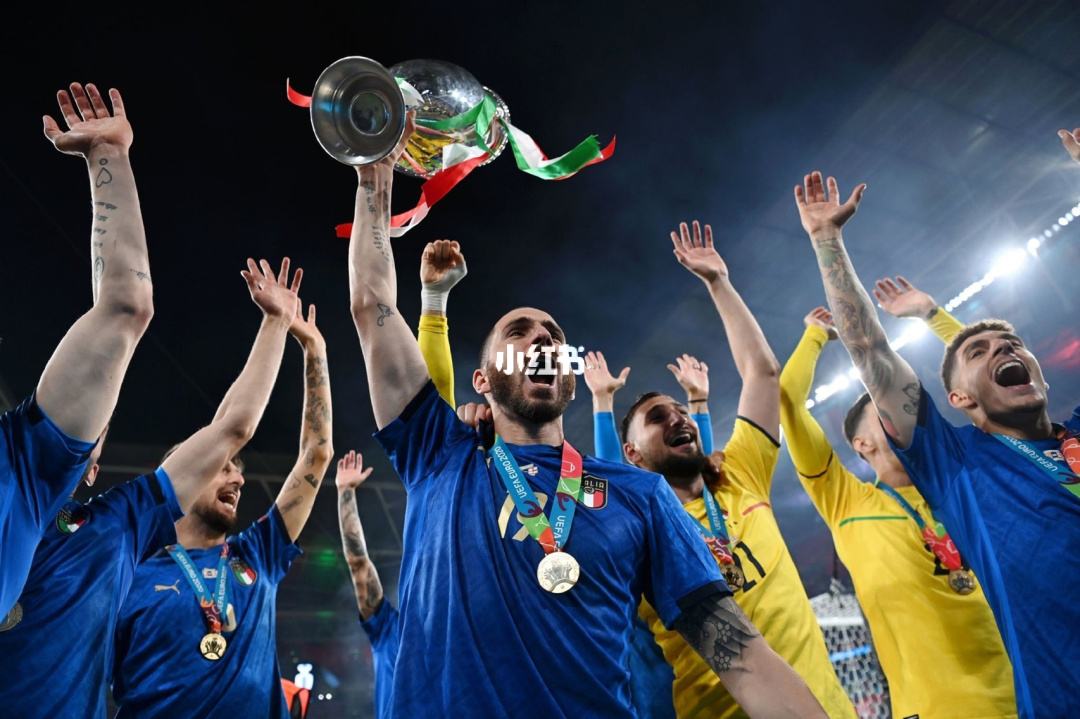 意大利欧洲杯经典视频2021欧洲杯全场回放-第2张图片-太平洋在线下载