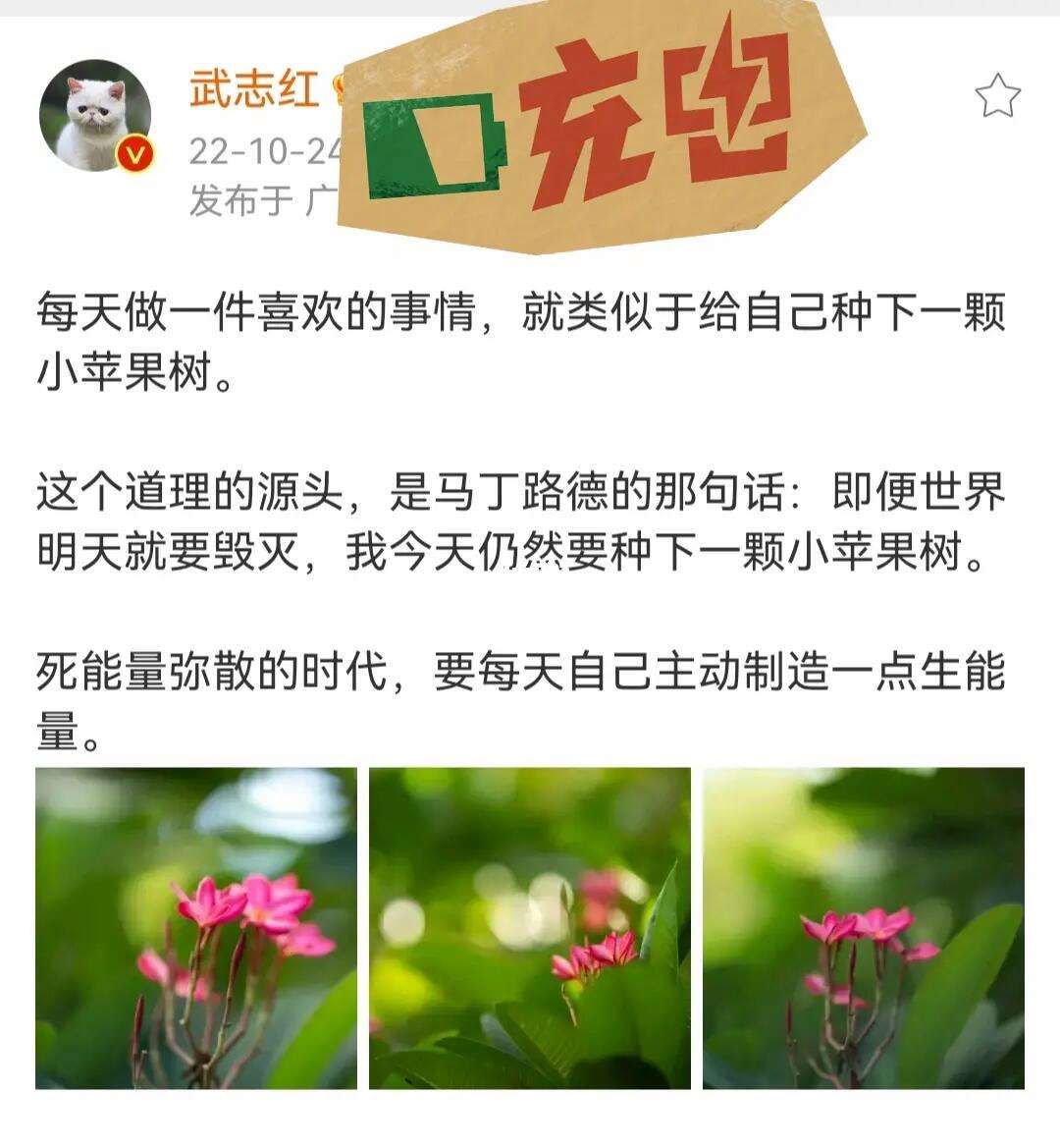 韩版小苹果足浴韩版小苹果现场版高清