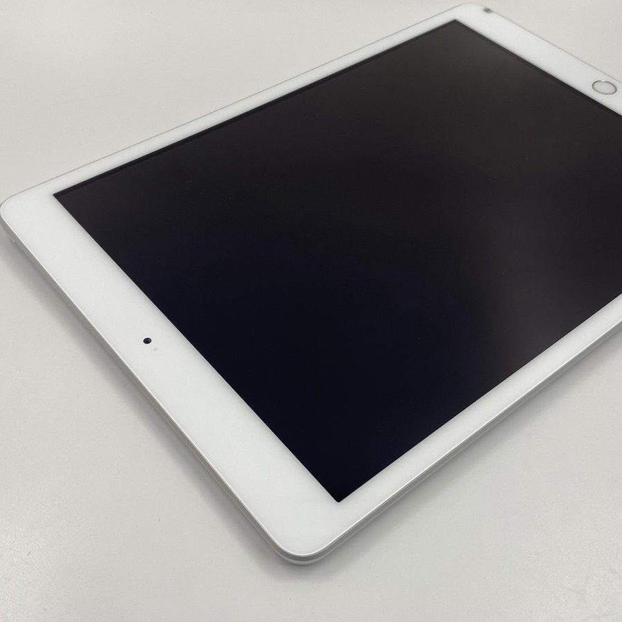 2019版苹果ipad价格苹果ipad2019官网价格-第2张图片-太平洋在线下载