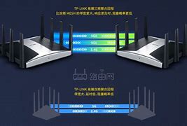 飞流qq客户端珊瑚虫显ip版官方最新版