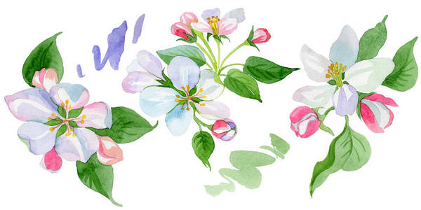 苹果图案花版苹果图案图片壁纸